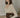 V-Neck Lace Long-Sleeve Dress